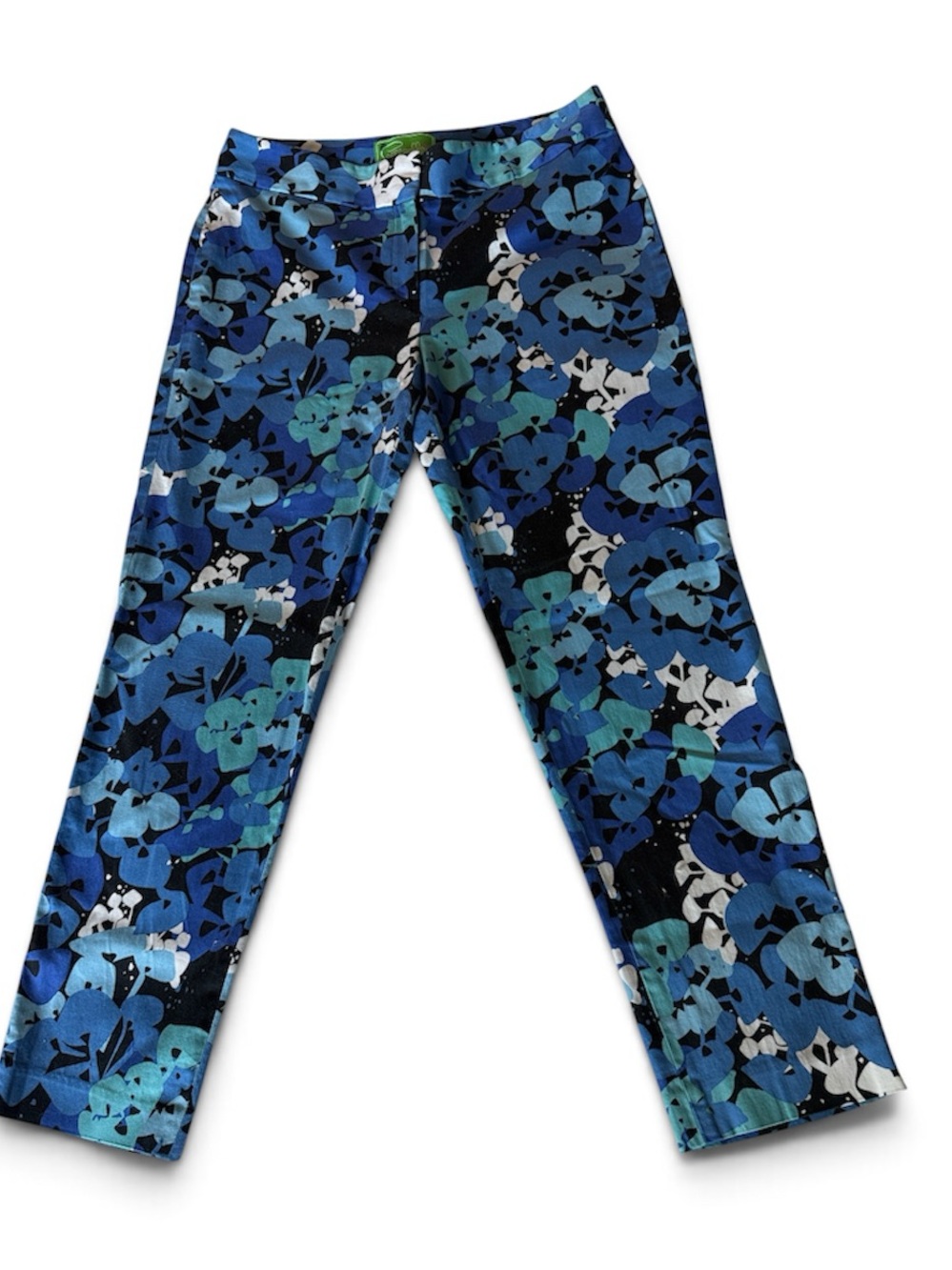 Pappagallo Blue Floral Stretch Pants Size 6 - #02
